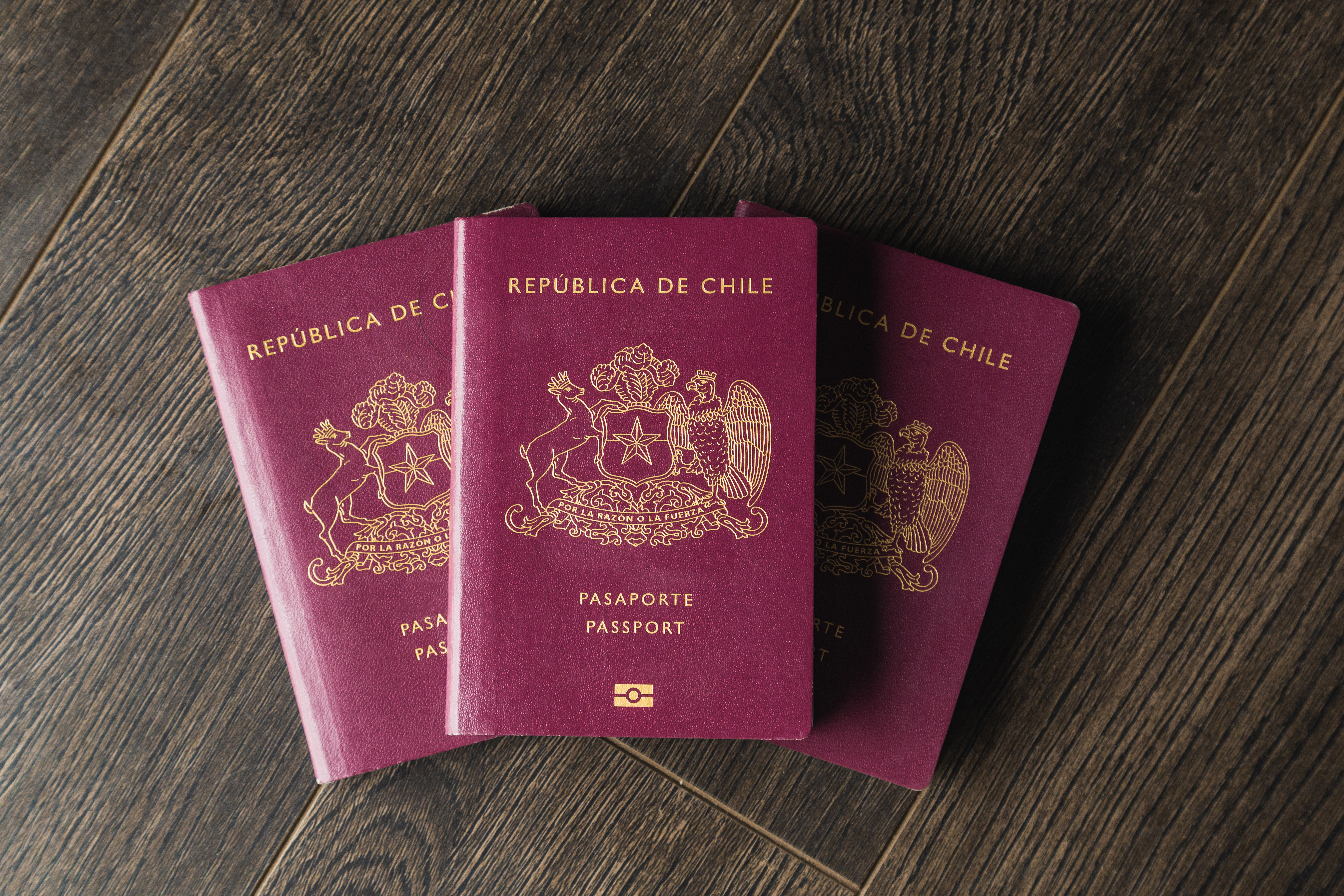Как получить гражданство Чили